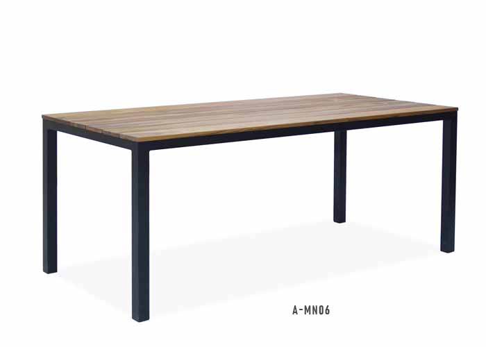 A-MN06