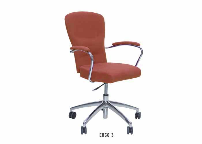 Ergo 3
